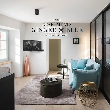 Ginger & Blue In A Charming Historic Town Apartament *
