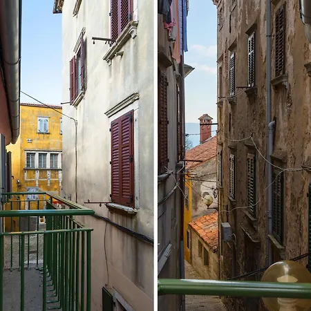 Ginger & Blue In A Charming Historic Town Labin (Istria)